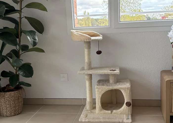 Bright And Quiet Near Attractions