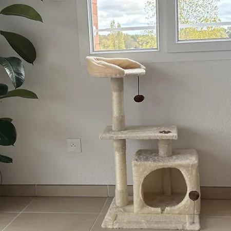 Bright And Quiet Near Attractions